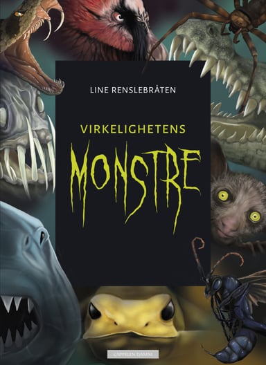 Omslag av "Virkelighetens monstre"