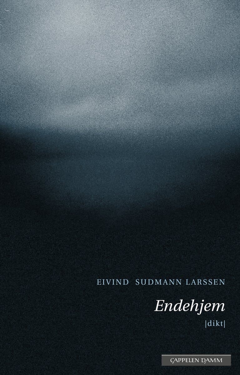 Omslag Endehjem av Eivind Sudmann Larssen (Innbundet)
