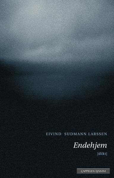 Omslag av "Endehjem"