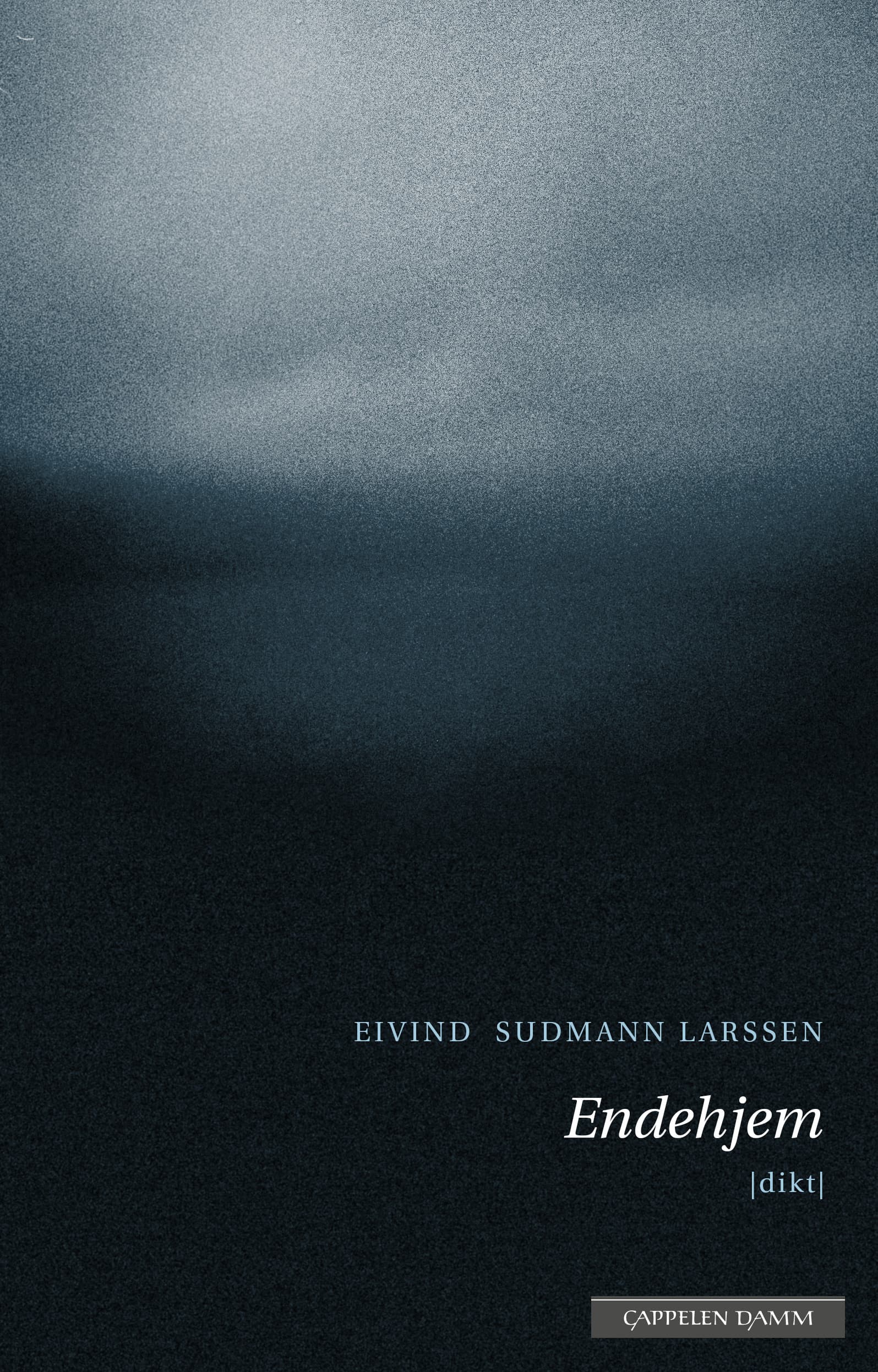 Omslag Endehjem av Eivind Sudmann Larssen (Ebok)