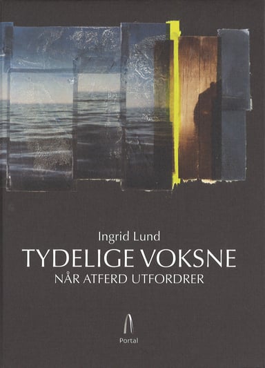 Omslag av "Tydelige voksne"