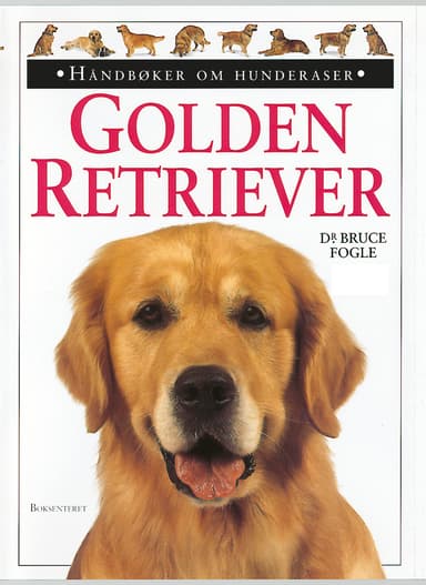Golden retriever