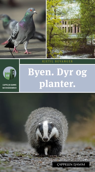 Omslag av "Byen. Dyr og planter"