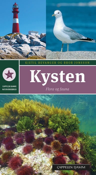 Omslag av "Kysten"