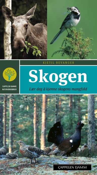 Omslag av "Skogen"