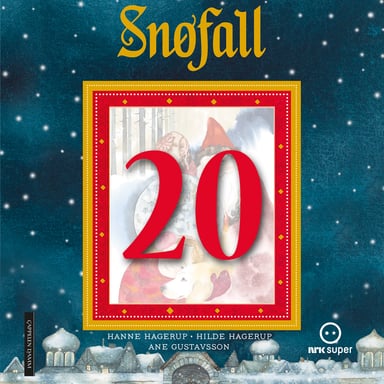 Omslag av "Snøfall 20. desember"