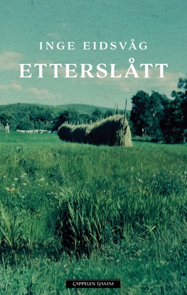 Omslag av "Etterslått"