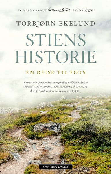 Omslag av "Stiens historie"