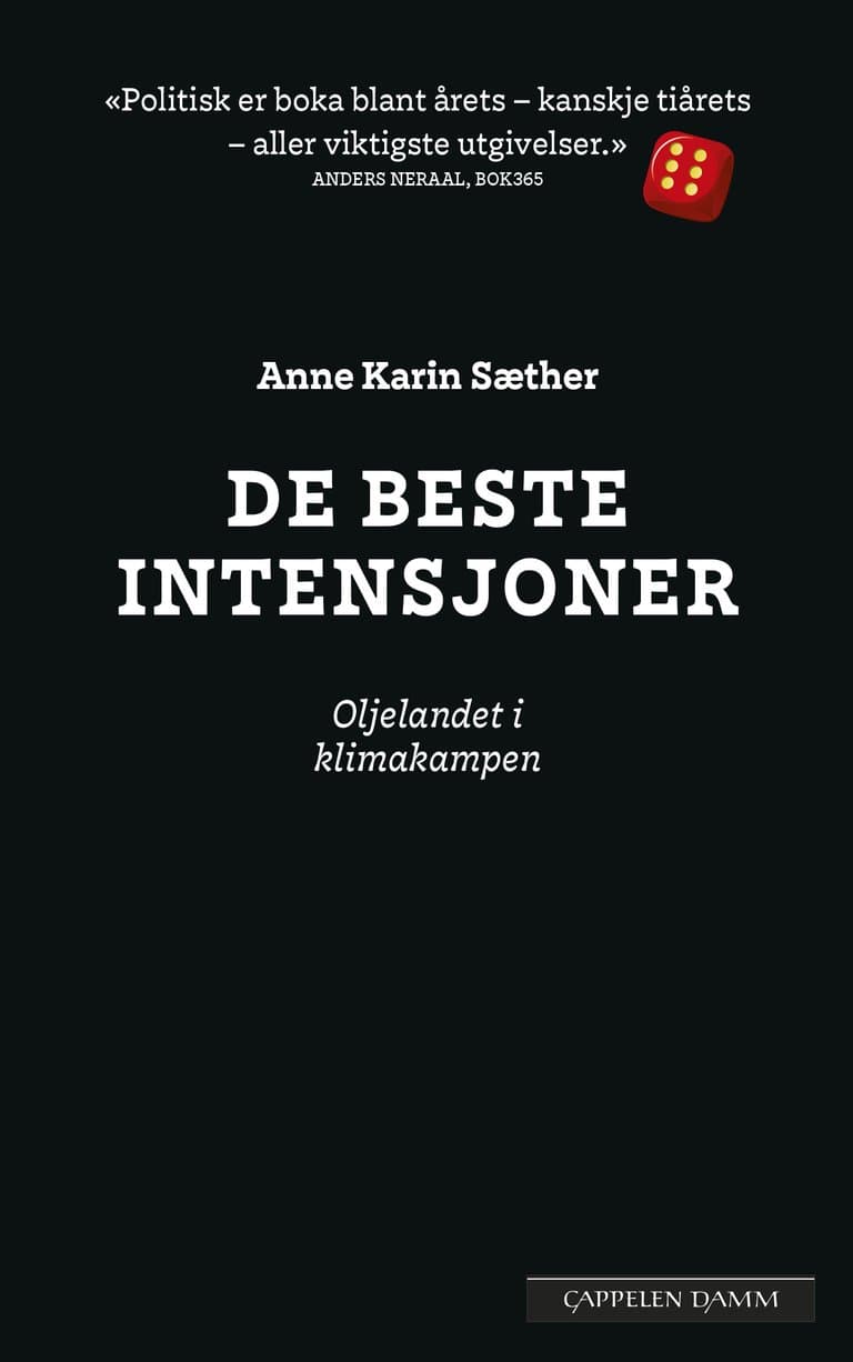 Omslag De beste intensjoner av Anne Karin Sæther (Innbundet)