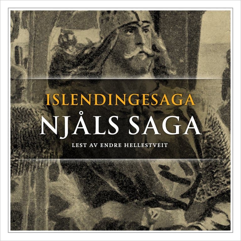 Omslag Njåls saga av Flere (Lydbok)