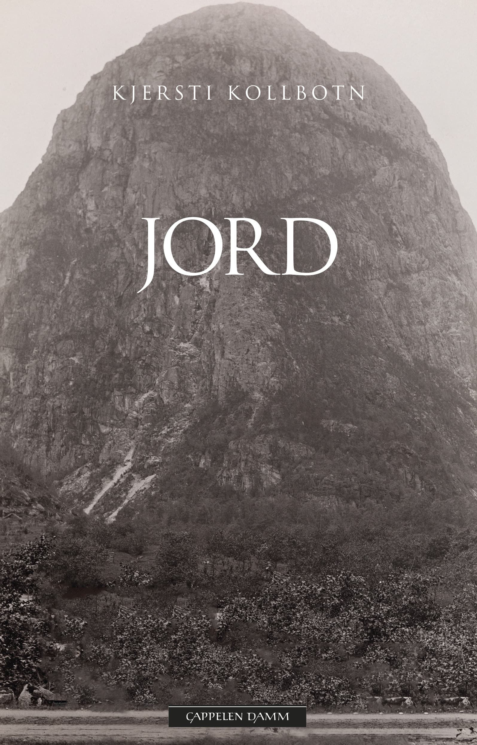 Omslag Jord av Kjersti Kollbotn (Innbundet)