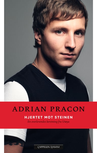 Omslag av "Hjertet mot steinen"
