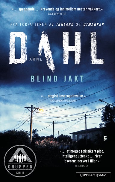 Omslag av "Blind jakt"