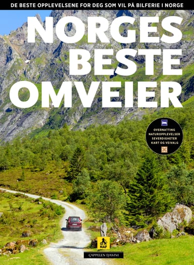 Omslag av "Norges beste omveier"