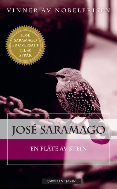 Omslag av "En flåte av stein"