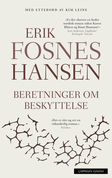 Omslag av "Beretninger om beskyttelse"