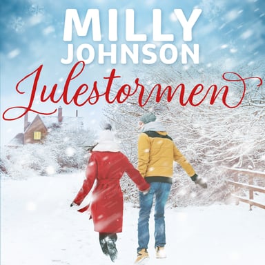 Omslag av "Julestormen"