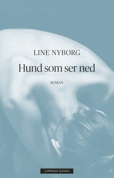 Omslag av "Hund som ser ned"