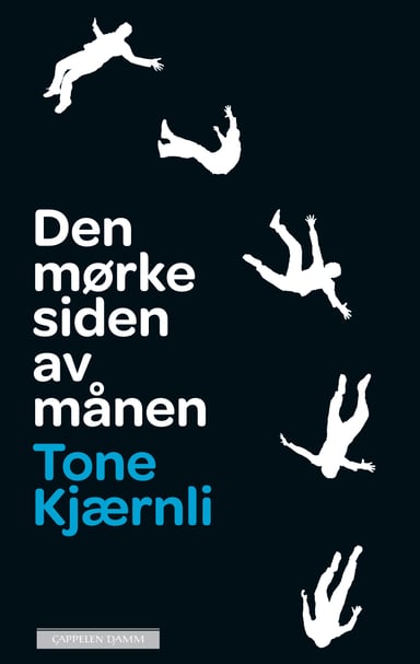 Omslag av "Den mørke siden av månen"