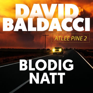 Omslag av "Blodig natt"