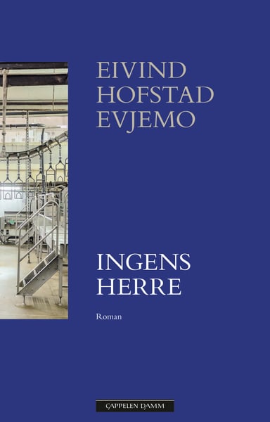 Omslag av "Ingens herre"