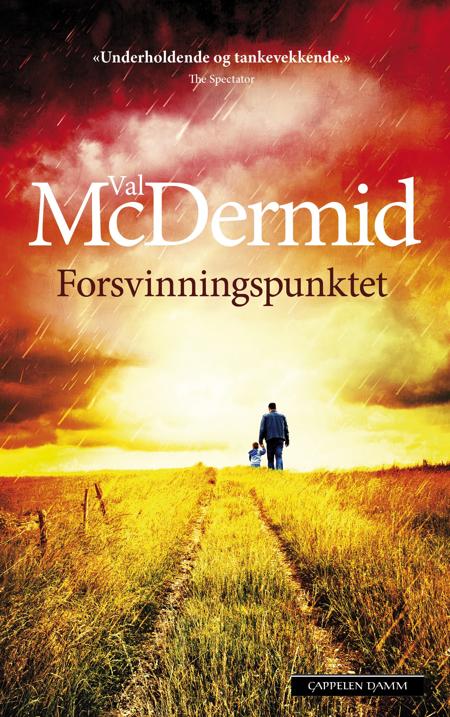 Omslag Forsvinningspunktet av Val McDermid (Ebok)