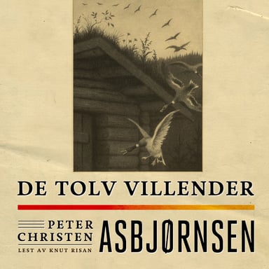 Omslag av "De tolv villender"