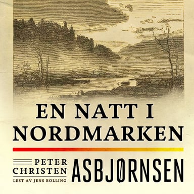 Omslag av "En natt i Nordmarken"