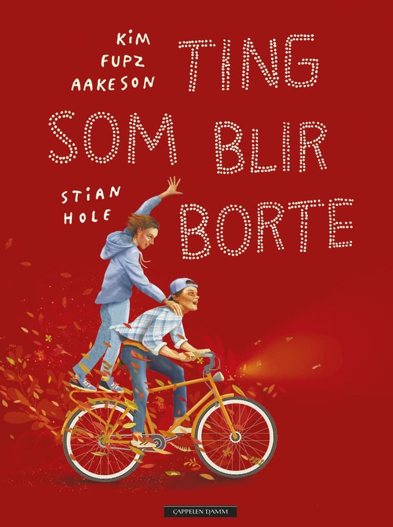 Omslag Ting som blir borte av Kim Fupz Aakeson og Stian Hole (Innbundet)