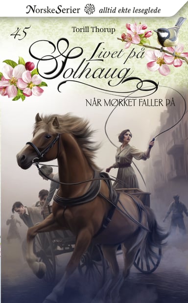 Omslag av "Når mørket faller på"