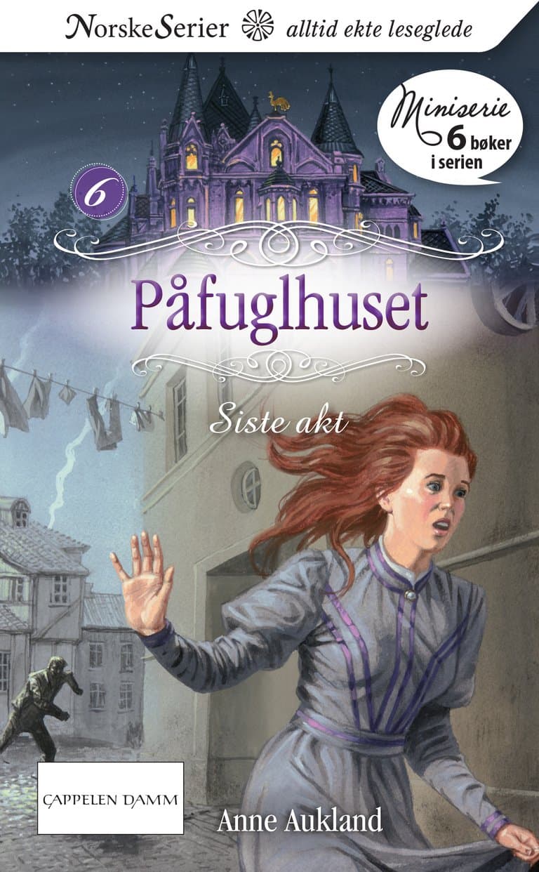 Omslag Siste akt av Anne Aukland (Ebok)