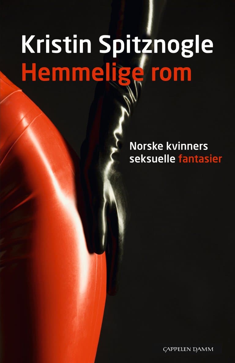 Omslag Hemmelige rom av Kristin Spitznogle (Innbundet)