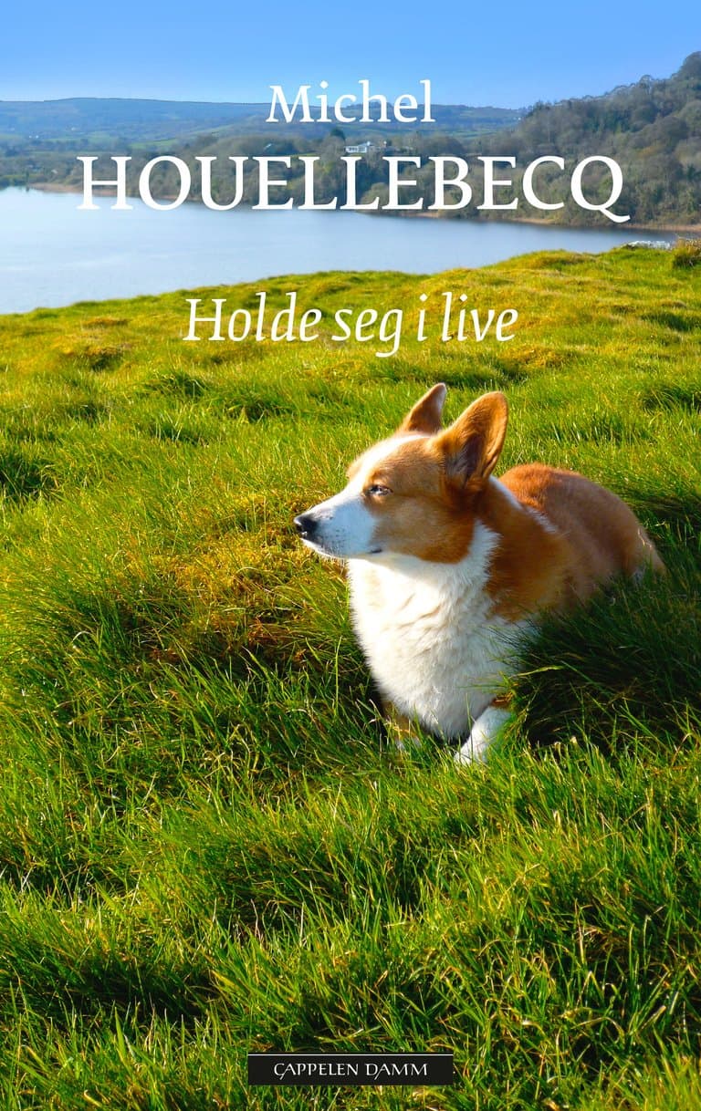 Omslag Holde seg i live av Michel Houellebecq (Ebok)