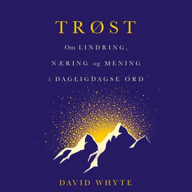 Omslag av "Trøst"