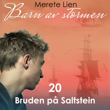 Omslag av "Bruden på Saltstein"