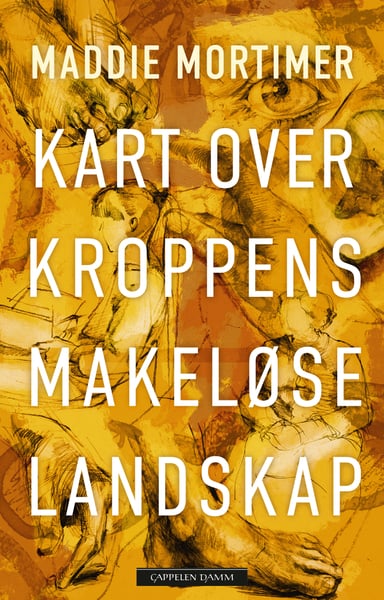 Omslag av "Kart over kroppens makeløse landskap"