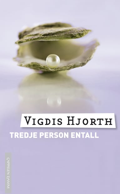 Omslag av "Tredje person entall"