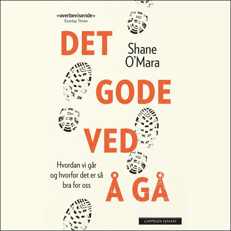 Omslag Det gode ved å gå - Hvordan vi går og hvorfor det er så bra for oss av Shane O'Mara (Lydbok)