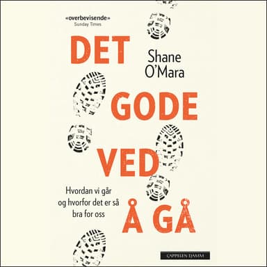 Det gode ved å gå - Hvordan vi går og hvorfor det er så bra for oss