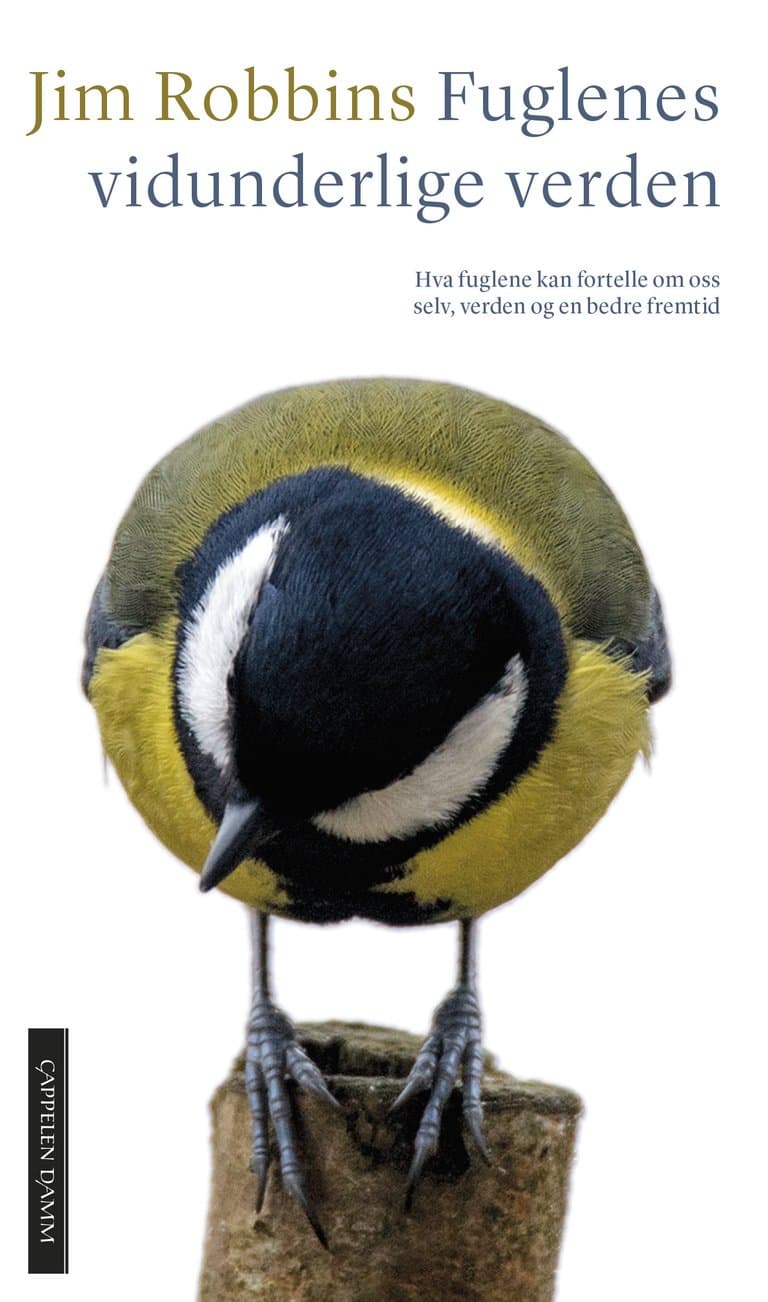 Omslag Fuglenes vidunderlige verden av Jim Robbins (Ebok)