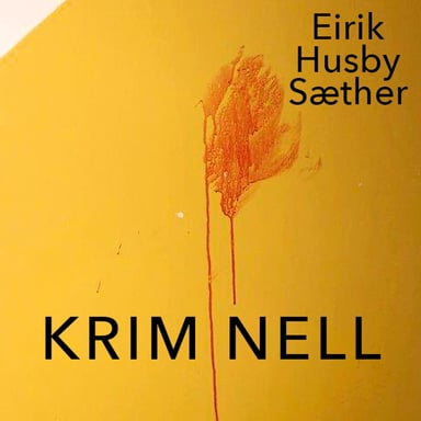 Omslag av "Kriminell"