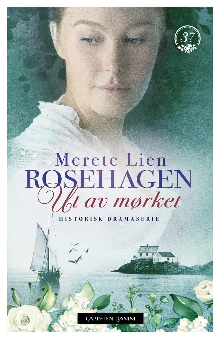 Omslag Ut av mørket av Merete Lien (Ebok)