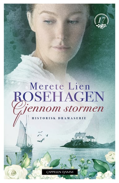 Omslag av "Gjennom stormen"