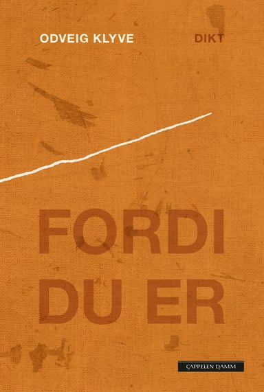 Omslag av "Fordi du er"