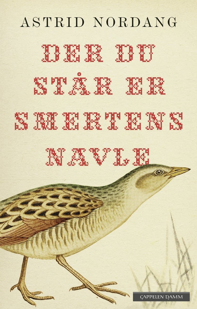 Omslag Der du står er smertens navle av Astrid Nordang (Innbundet)