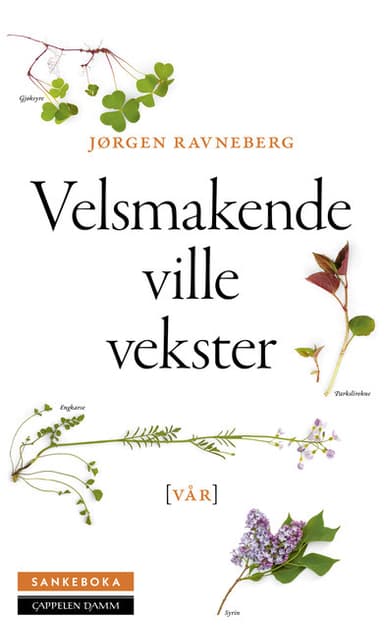 Sankeboka vår