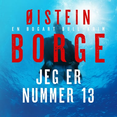 Omslag av "Jeg er nummer 13"