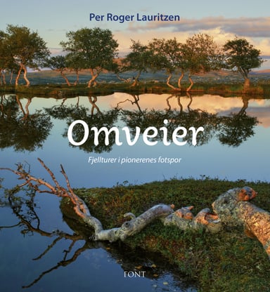 Omslag av "Omveier"