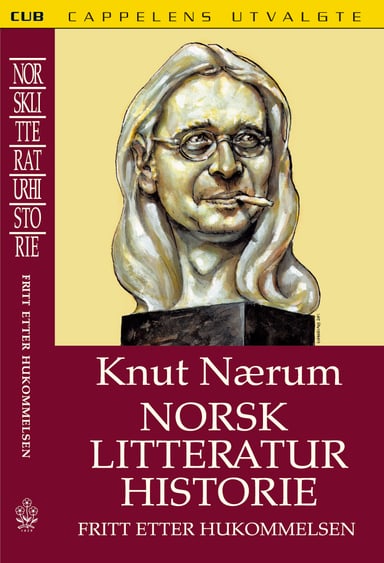 Omslag av "Norsk litteraturhistorie fritt etter hukommelsen"