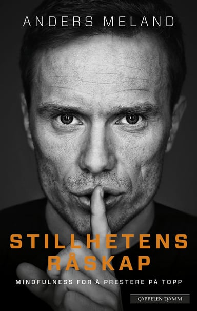 Omslag av "Stillhetens råskap"